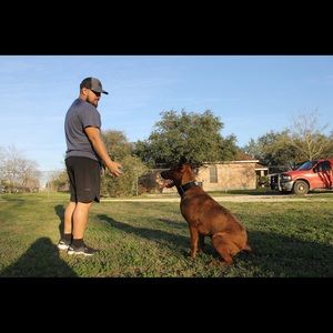 Meet your Posher, Daniel